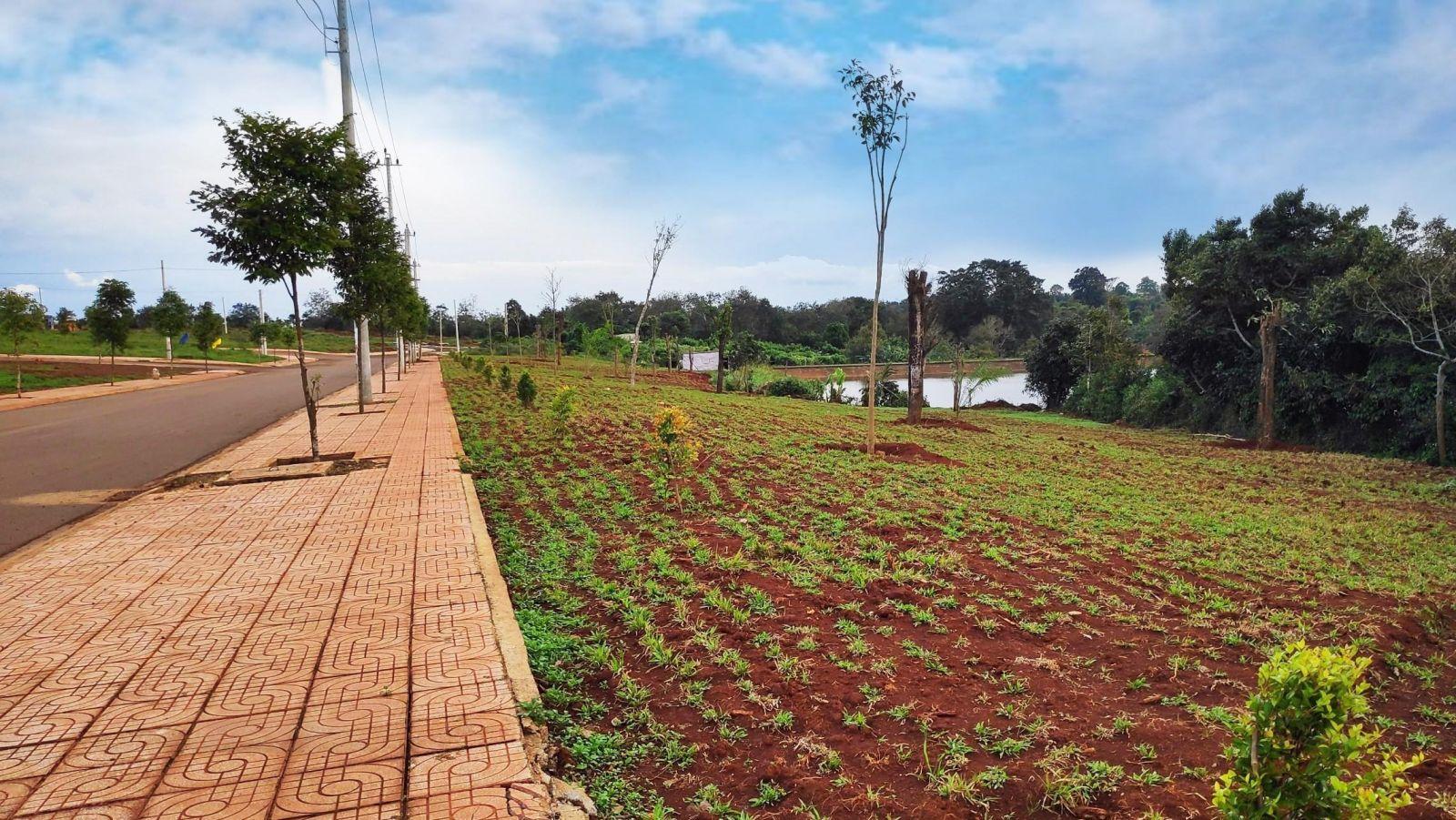 e1330aef0c82efdcb693