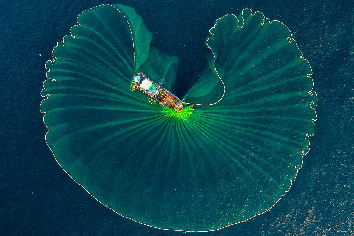 Danh Bat Ca Quy Nhon