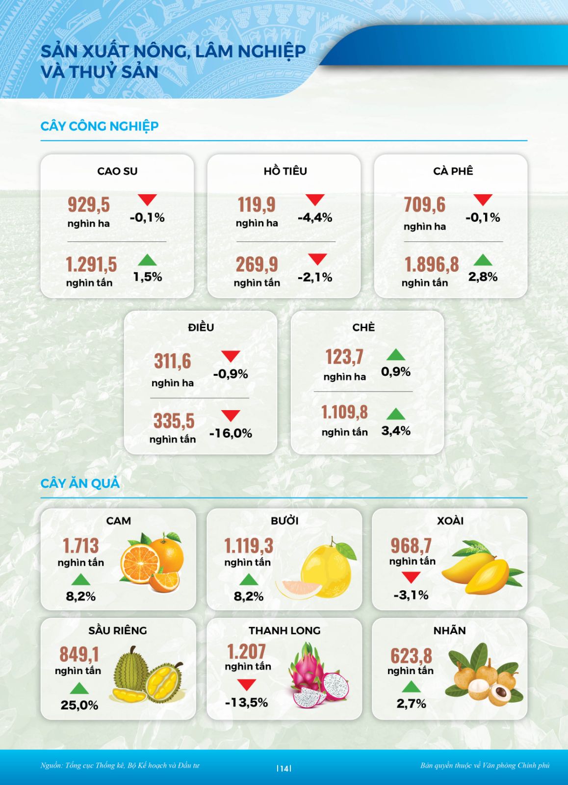 Buc Tranh Kinh Te 2022 11