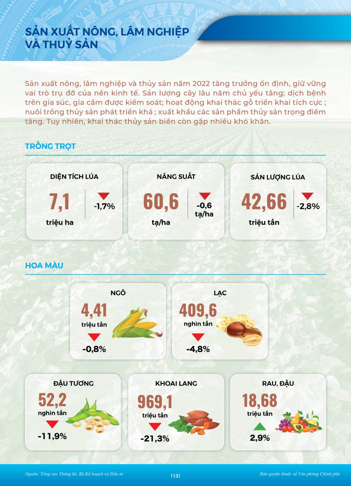 Buc Tranh Kinh Te 2022 9